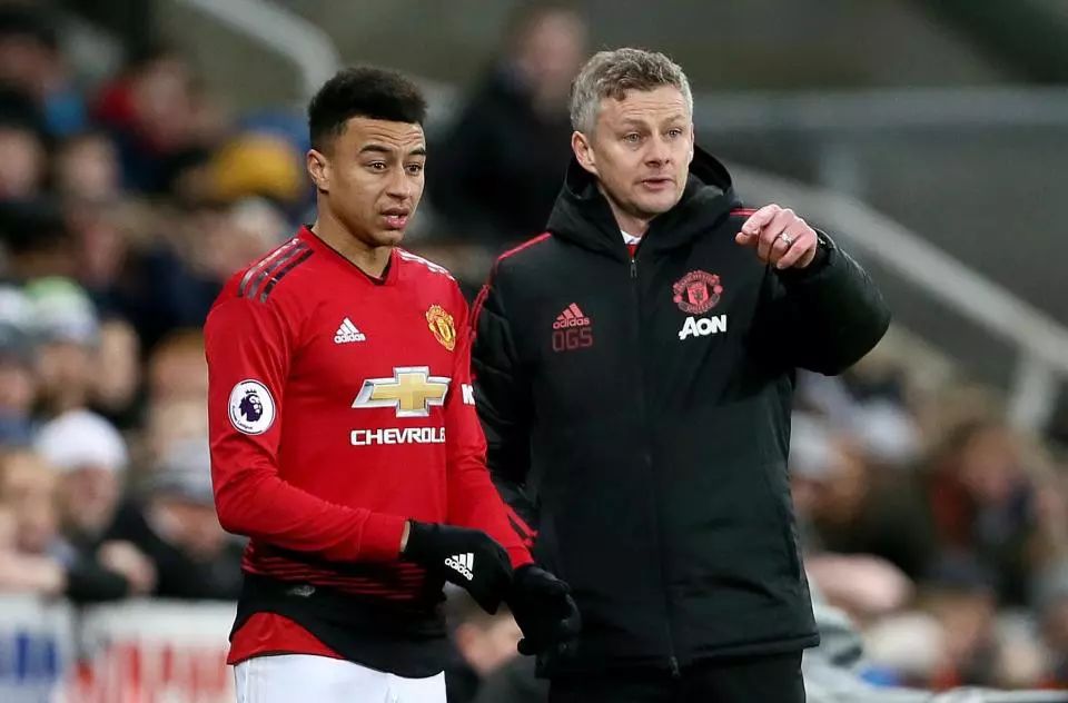 下了坚实的 下了坚实的