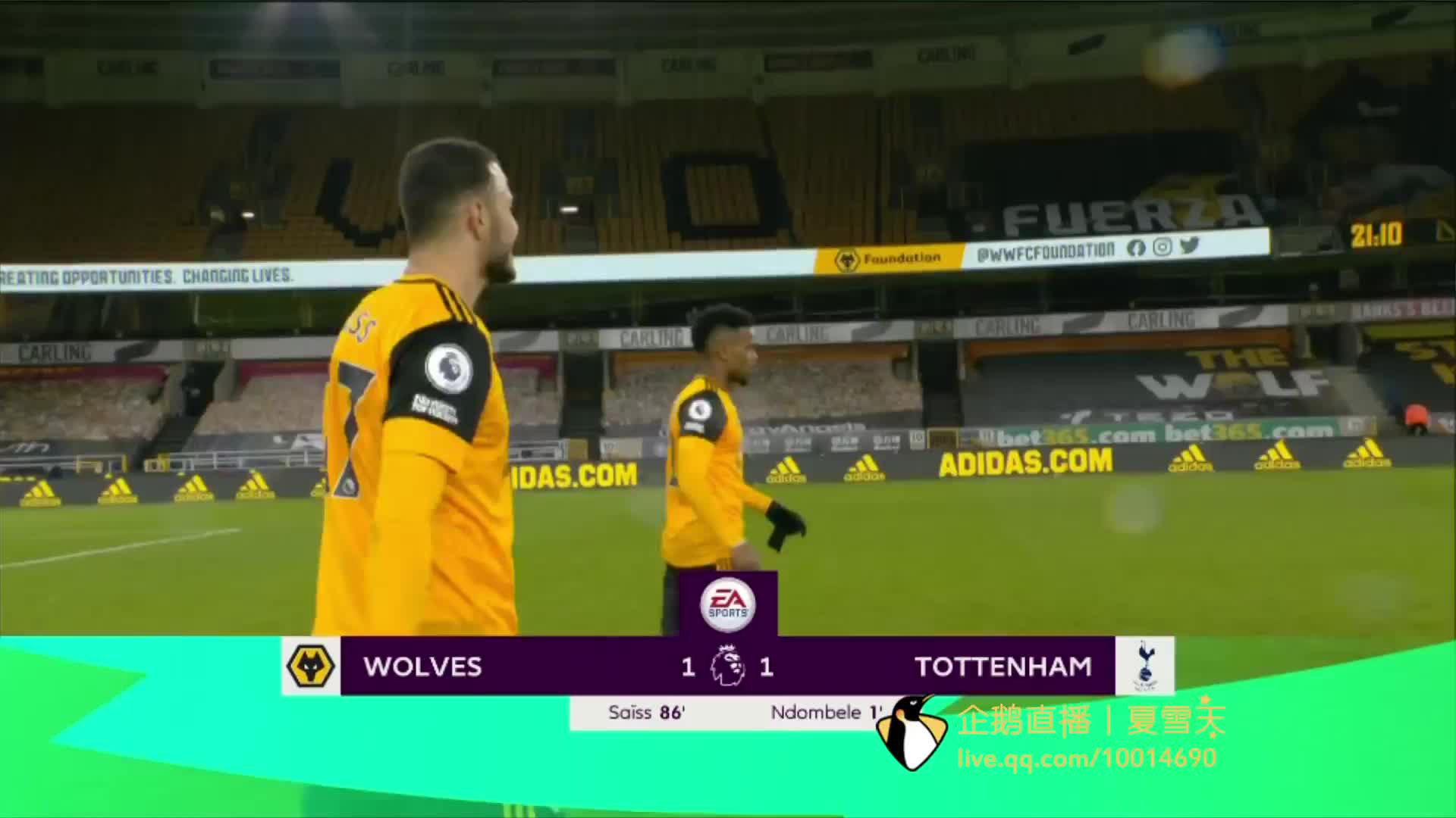 他们将有望 他们将有望